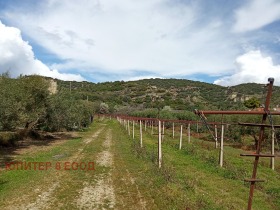 ������� ������ | Imot.bg � ����� ������ 2