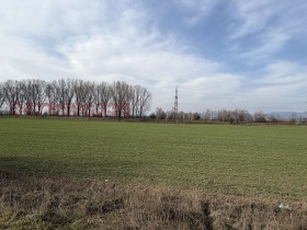 ������ ������� ������