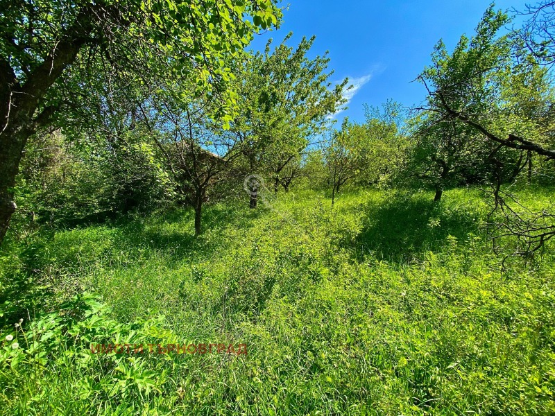 Продаја  Кућа Габрово , Бојката , 110 м2 | 74961418 - слика [17]