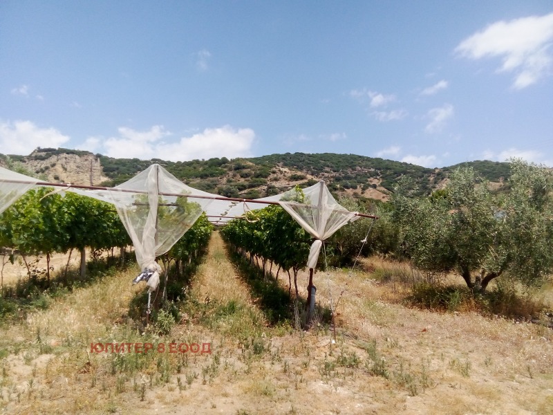 Продава ПАРЦЕЛ, Извън страната, област Извън страната, снимка 14 - Парцели - 52831301