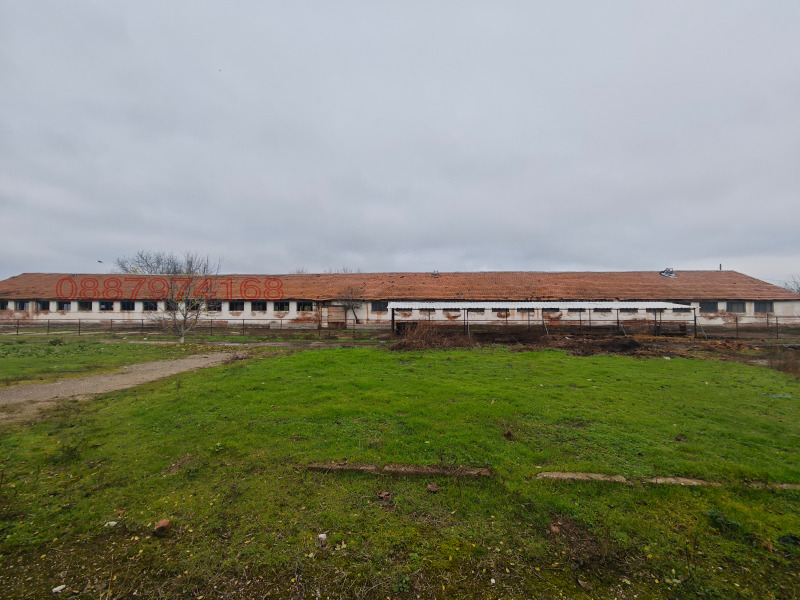 Продава БИЗНЕС ИМОТ, с. Ракево, област Враца, снимка 4 - Други - 52889607