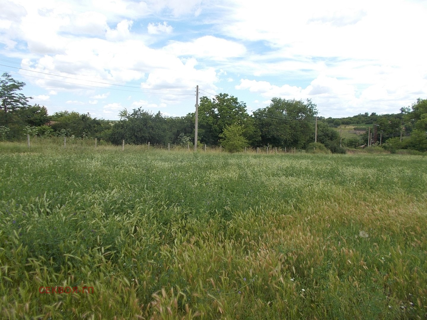 Продава КЪЩА, с. Миладиновци, област Добрич, снимка 5 - Къщи - 55315942