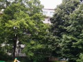 Продава 3-СТАЕН, гр. София, Бъкстон, снимка 16