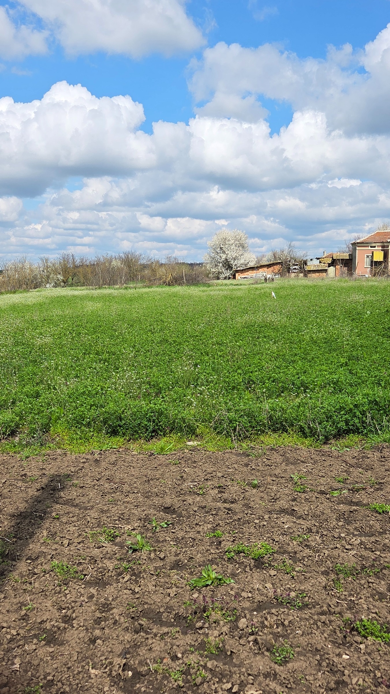 ������� ������ | Imot.bg � ����������� 1