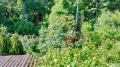 Продава КЪЩА, гр. София, Драгалевци, снимка 4