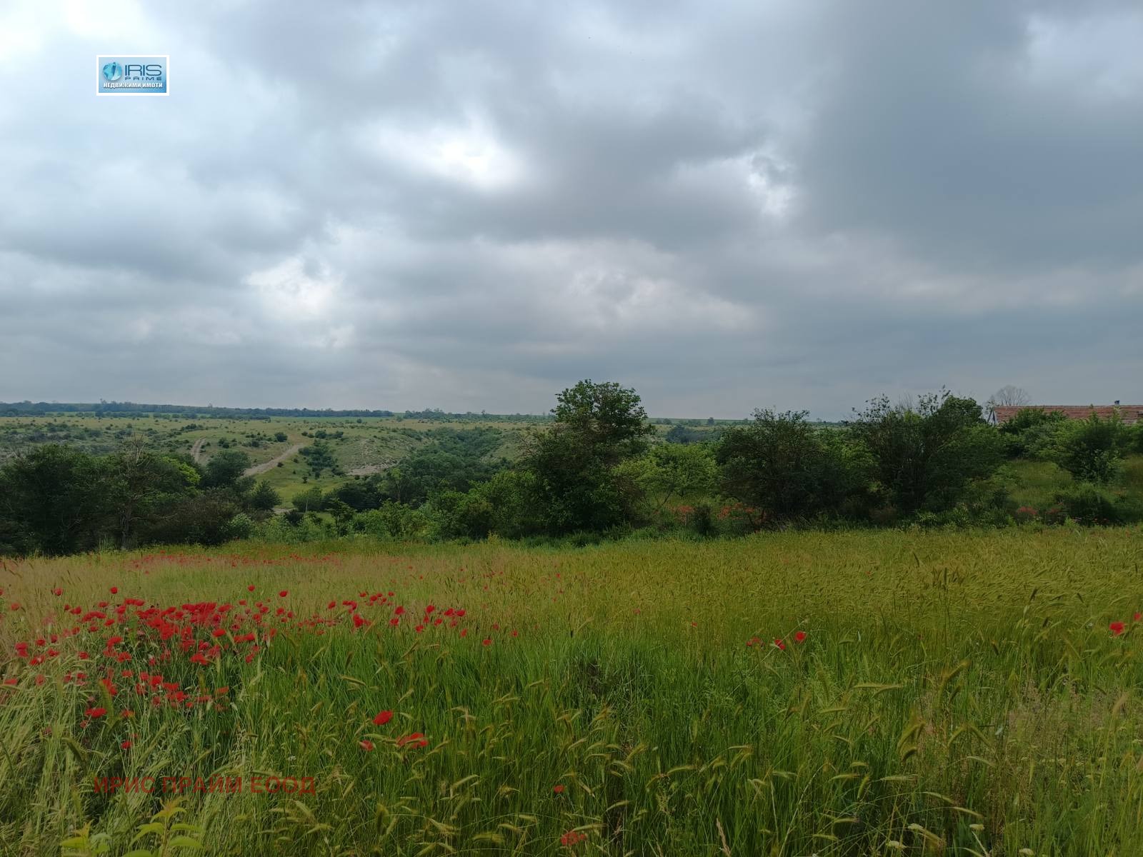 ������� ���� | Imot.bg � ����������� 2
