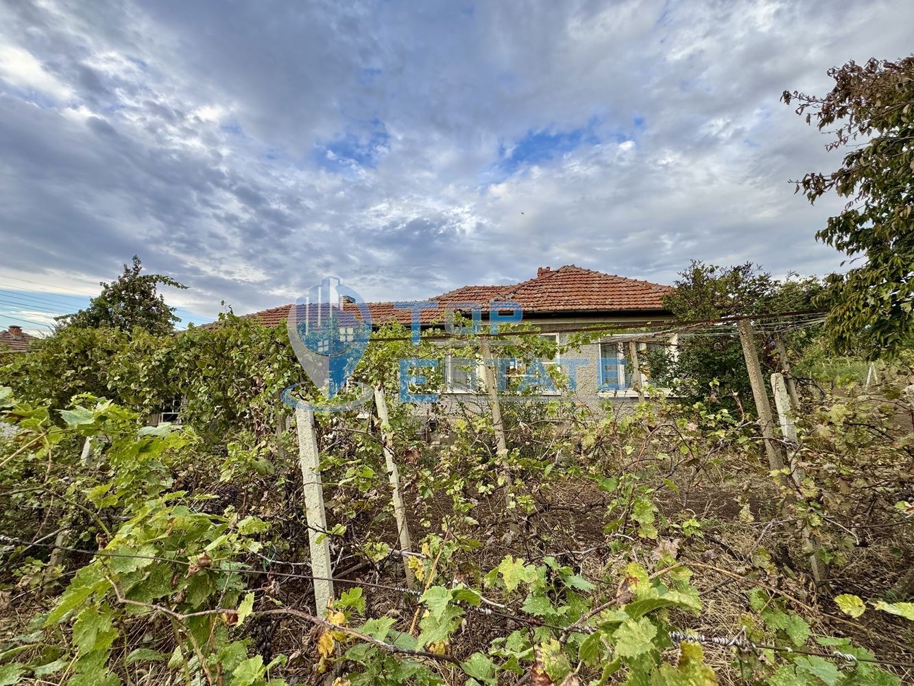 ������� ���� | Imot.bg � ����������� 14