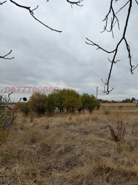 ������� ������ | Imot.bg � ����� ������ 8
