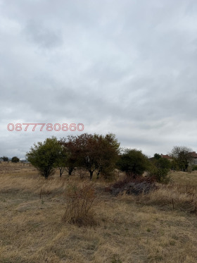 ������� ������ | Imot.bg � ����� ������ 7
