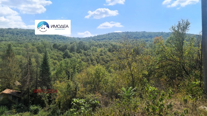 En venta  Trama región Veliko Tarnovo , Malki chiflik , 1305 metros cuadrados | 57913966 - imagen [9]