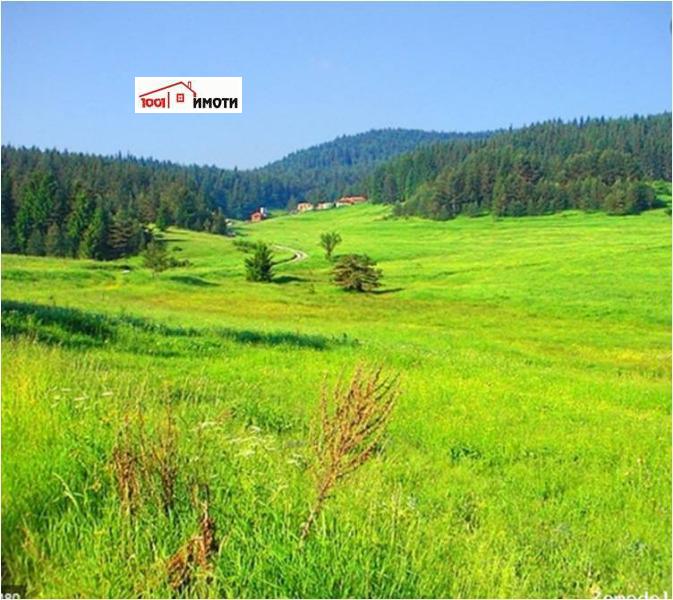 Продава  Земеделска земя област Добрич , с. Алцек , 16 дка | 22438053
