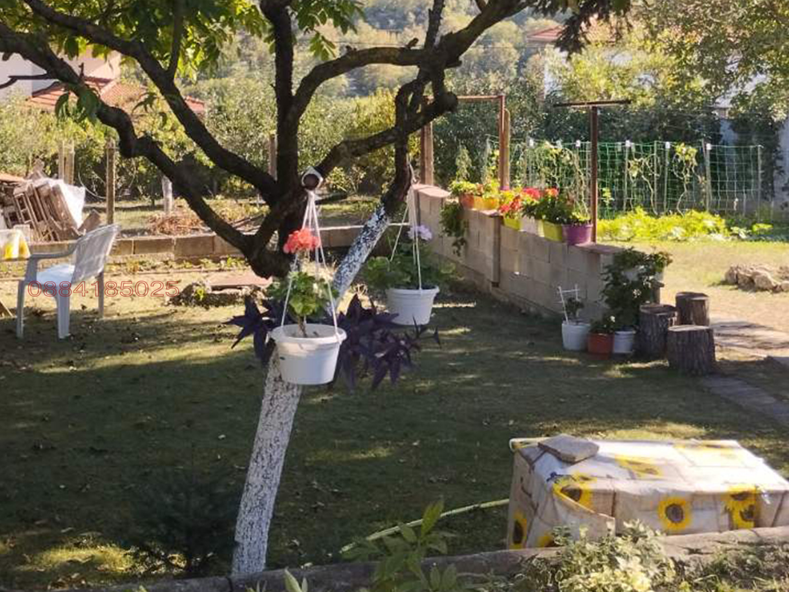 Продава КЪЩА, с. Долище, област Варна, снимка 3 - Къщи - 56149252