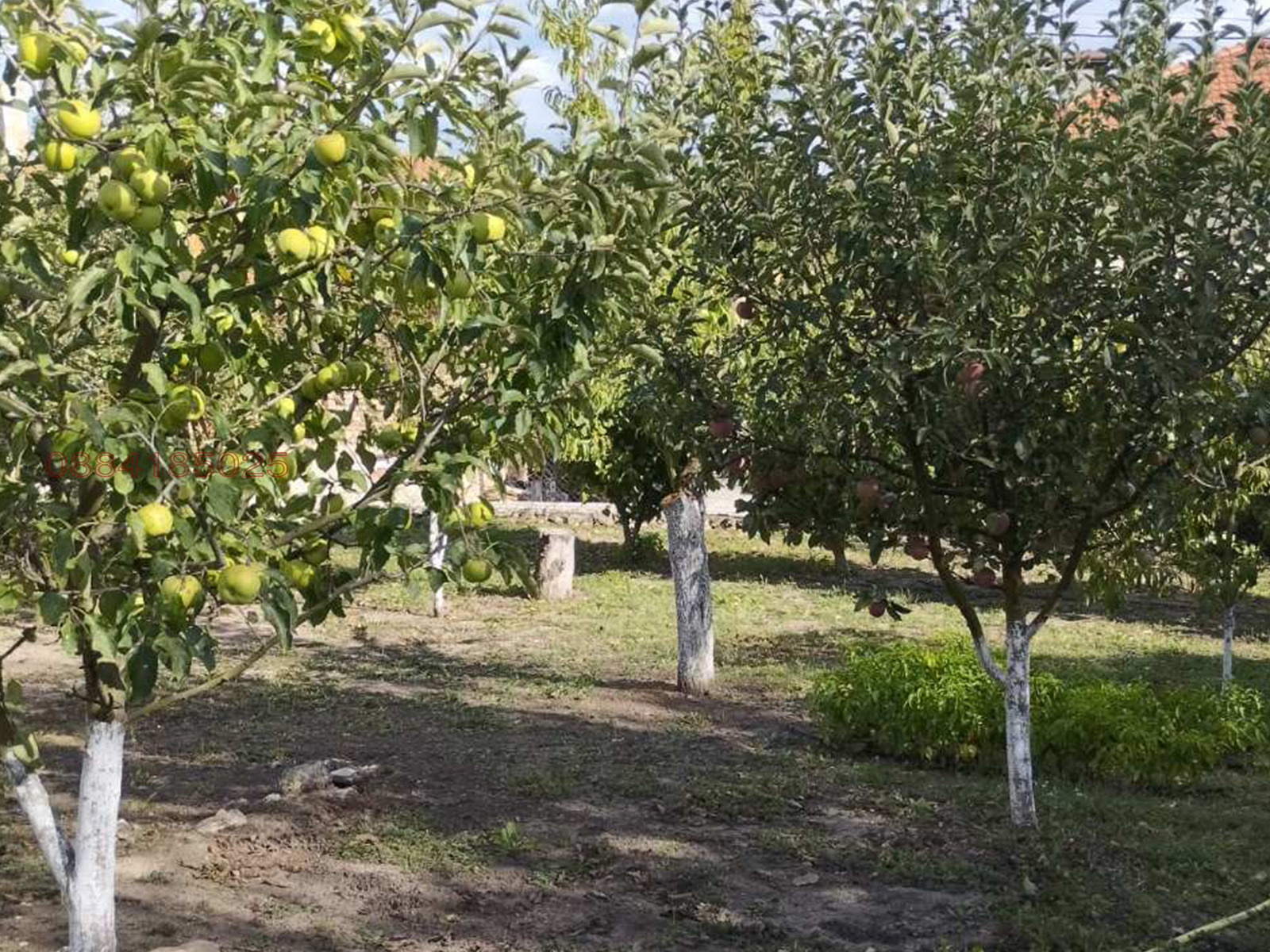 Продава КЪЩА, с. Долище, област Варна, снимка 7 - Къщи - 56149252