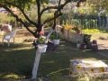Продава КЪЩА, с. Долище, област Варна, снимка 3