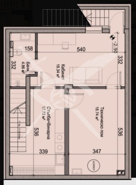 ����� ������� ����,���� �����, ����������