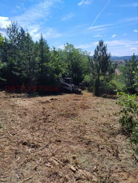 ������� ������ | Imot.bg � ����� ������ 2
