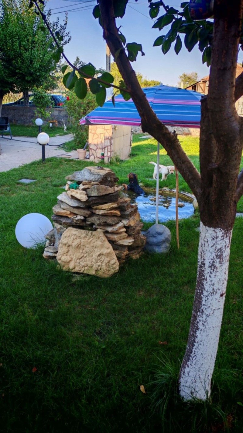 Продава КЪЩА, с. Капитановци, област Видин, снимка 4 - Къщи - 53450180