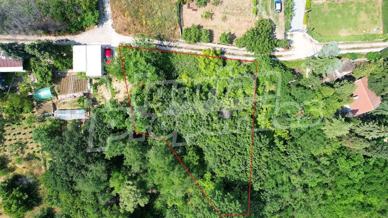 Myytävänä  Juoni Varna , m-t Priboj , 1201 neliömetriä | 61333683 - kuva [4]