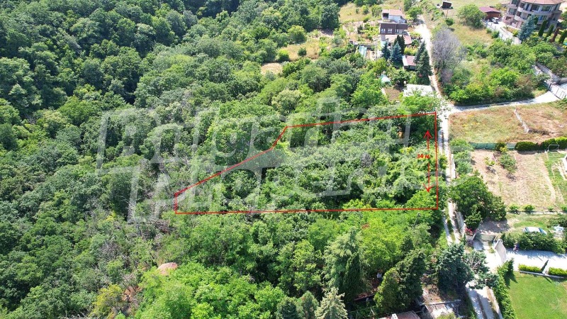 Myytävänä  Juoni Varna , m-t Priboj , 1201 neliömetriä | 61333683 - kuva [5]