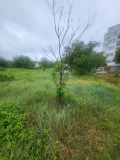 Продава ПАРЦЕЛ, гр. Плевен, Дружба 4, снимка 15