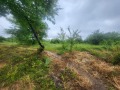 Продава ПАРЦЕЛ, град Плевен, Дружба 4 • 119900 € • 91730185 — Holmes.bg