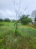 Продава ПАРЦЕЛ, град Плевен, Дружба 4 • 119900 € • 91730185 — Holmes.bg