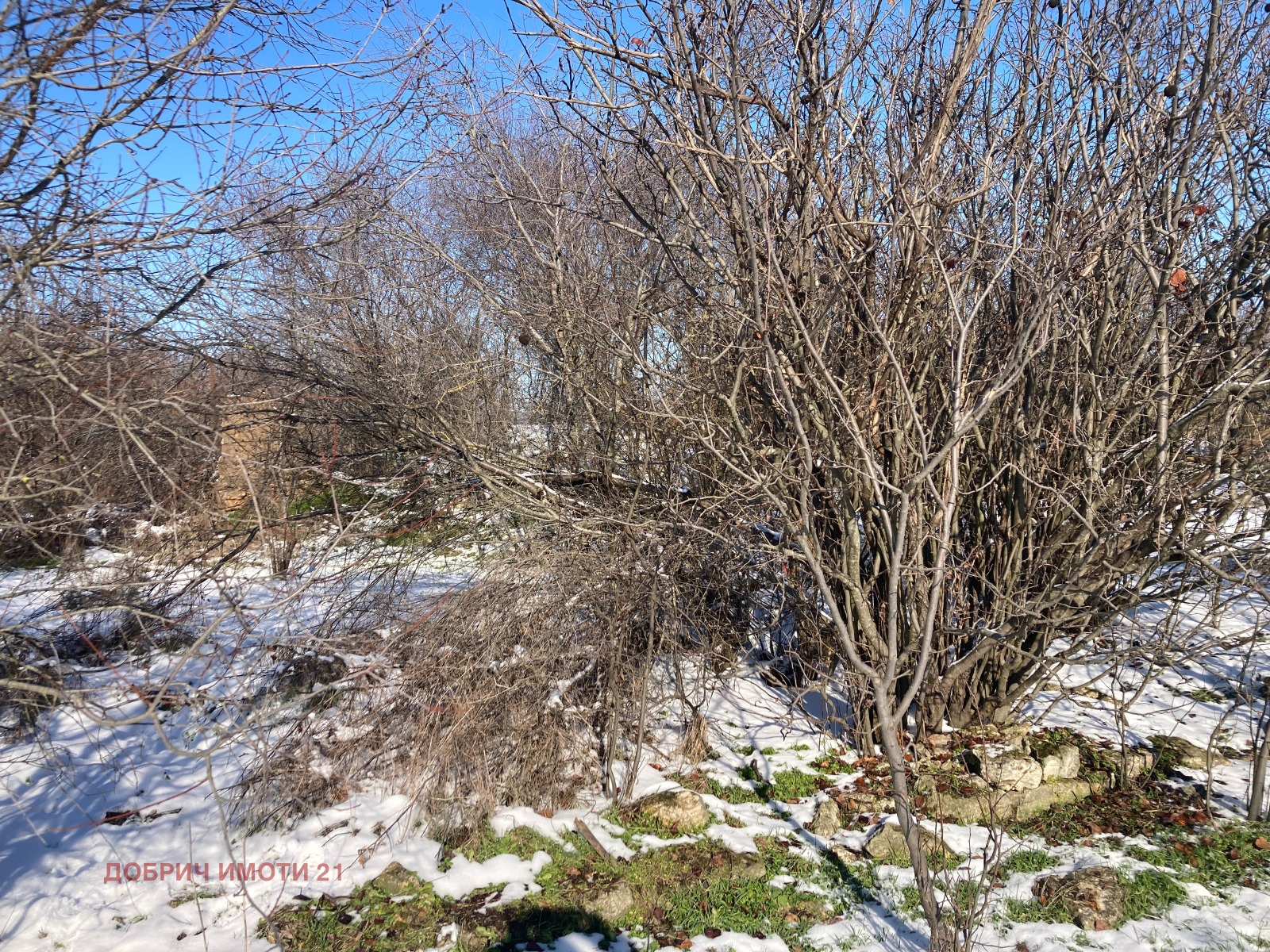 ������� ������ | Imot.bg � ����������� 1