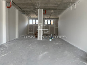 ����� ������� �������,���� �������, ������