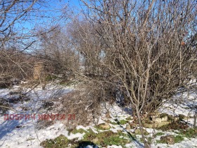 ����� ������� ������,�. ��������, ������ ������