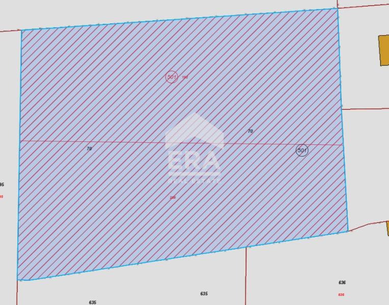Na prodej  Spiknutí oblast Dobrich , Kamen brjag , 2801 m2 | 88283929 - obraz [3]