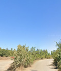 Продава ПАРЦЕЛ, град София, Горубляне • 915000 € • 63025325 — Holmes.bg