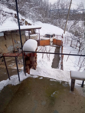 ����� ������� ����,��. ���������, ������ �������