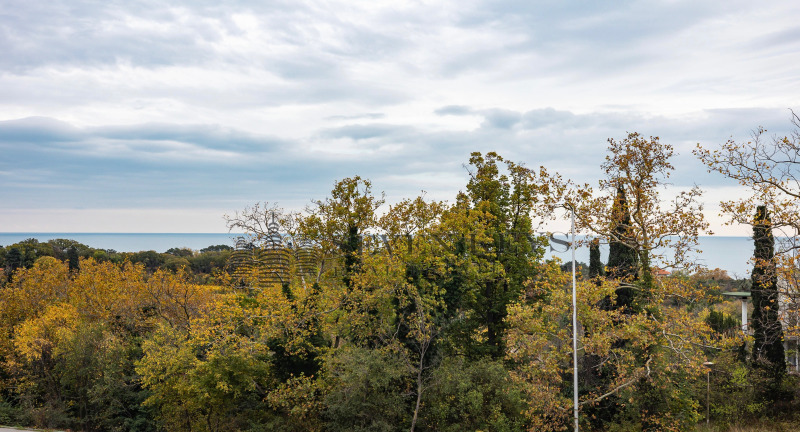 Продава 2-СТАЕН, гр. Варна, м-т Евксиноград, снимка 3 - Апартаменти - 52417016