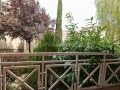 Продава 1-СТАЕН, област Бургас, к.к. Слънчев бряг • 26500 € • 53159790 — Holmes.bg