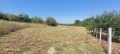 Продава ПАРЦЕЛ, област Велико Търново, с. Беляковец • 79000 € • 37407499 — Holmes.bg