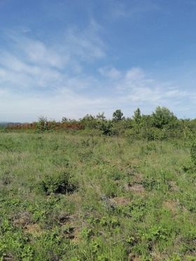 ������� ������ | Imot.bg � ����� ������ 2