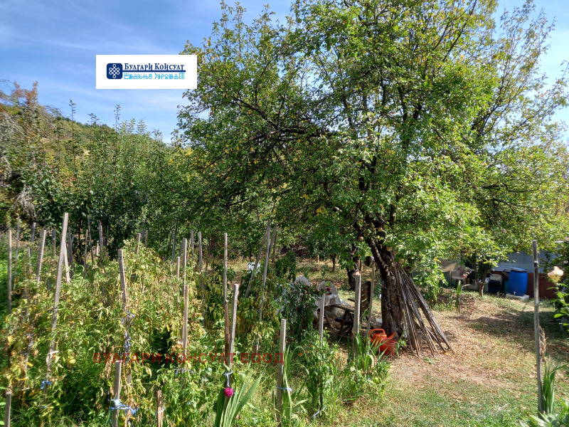 На продаж  Вілла область Кюстендил , Горна Брестница , 17 кв.м | 58449080 - зображення [14]