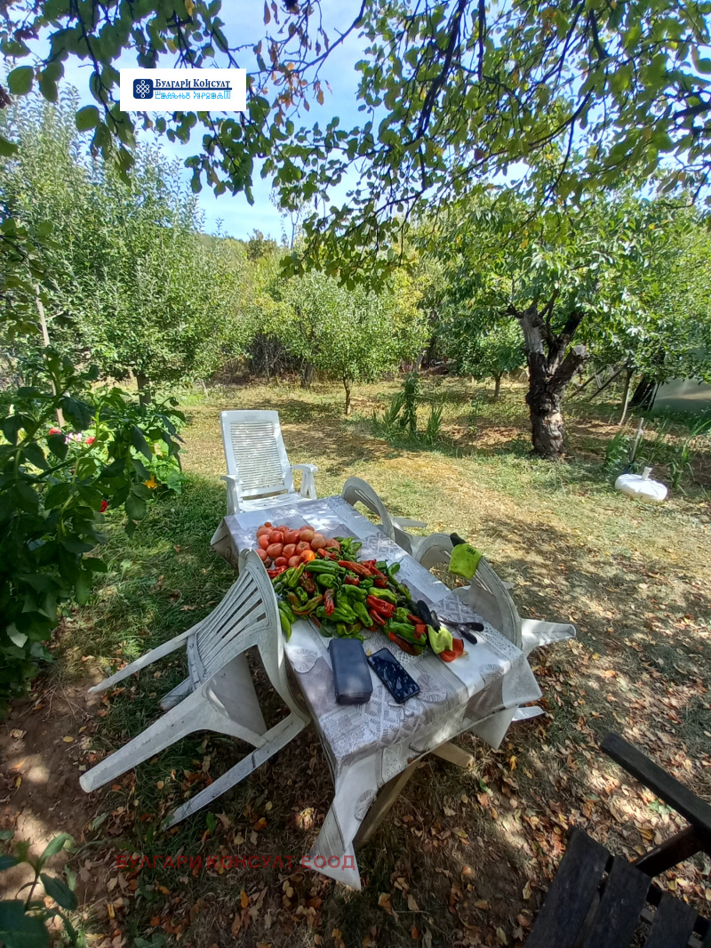 На продаж  Вілла область Кюстендил , Горна Брестница , 17 кв.м | 58449080 - зображення [7]