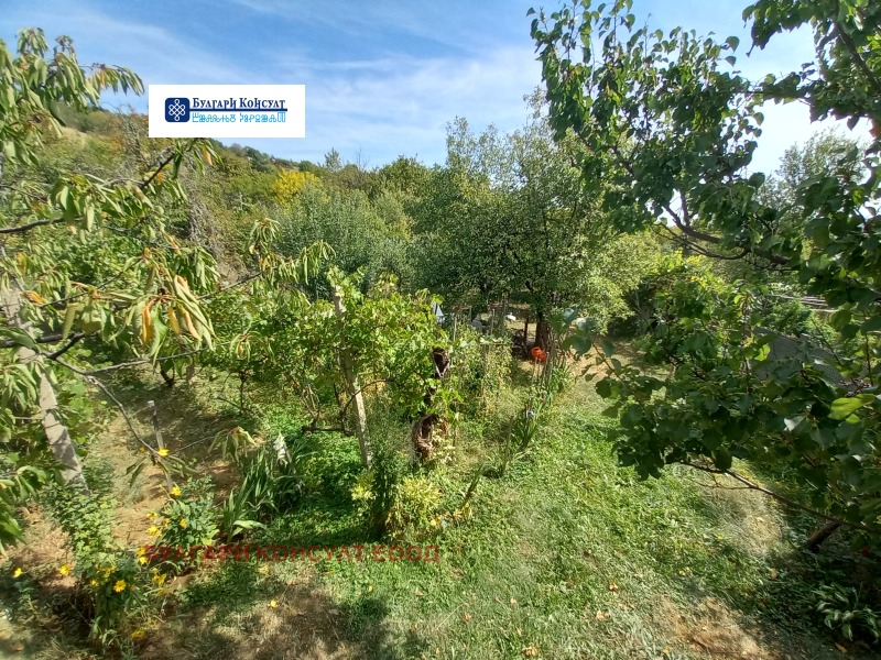 На продаж  Вілла область Кюстендил , Горна Брестница , 17 кв.м | 58449080 - зображення [16]
