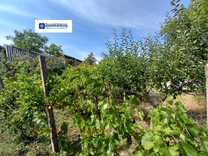 На продаж  Вілла область Кюстендил , Горна Брестница , 17 кв.м | 58449080 - зображення [13]