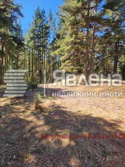 ������� ���� | Imot.bg � ����������� 11