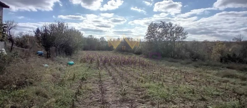 Продава КЪЩА, с. Ломница, област Добрич, снимка 7 - Къщи - 52824968