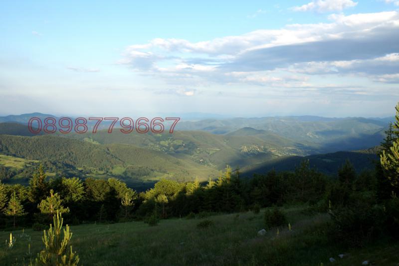 Продава ПАРЦЕЛ, с. Загражден, област Смолян, снимка 2 - Парцели - 53100029