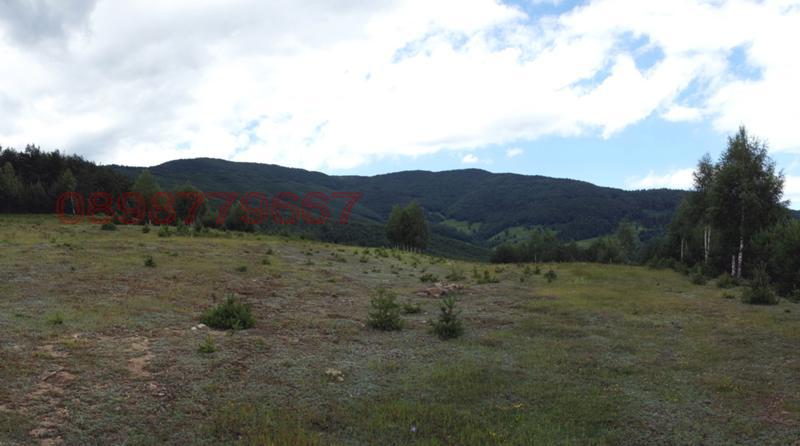 Продава ПАРЦЕЛ, с. Загражден, област Смолян, снимка 5 - Парцели - 53100029