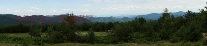 Продава ПАРЦЕЛ, с. Загражден, област Смолян, снимка 4 - Парцели - 53100029