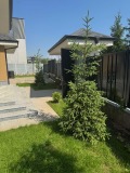 Продава КЪЩА, гр. София, Драгалевци, снимка 5