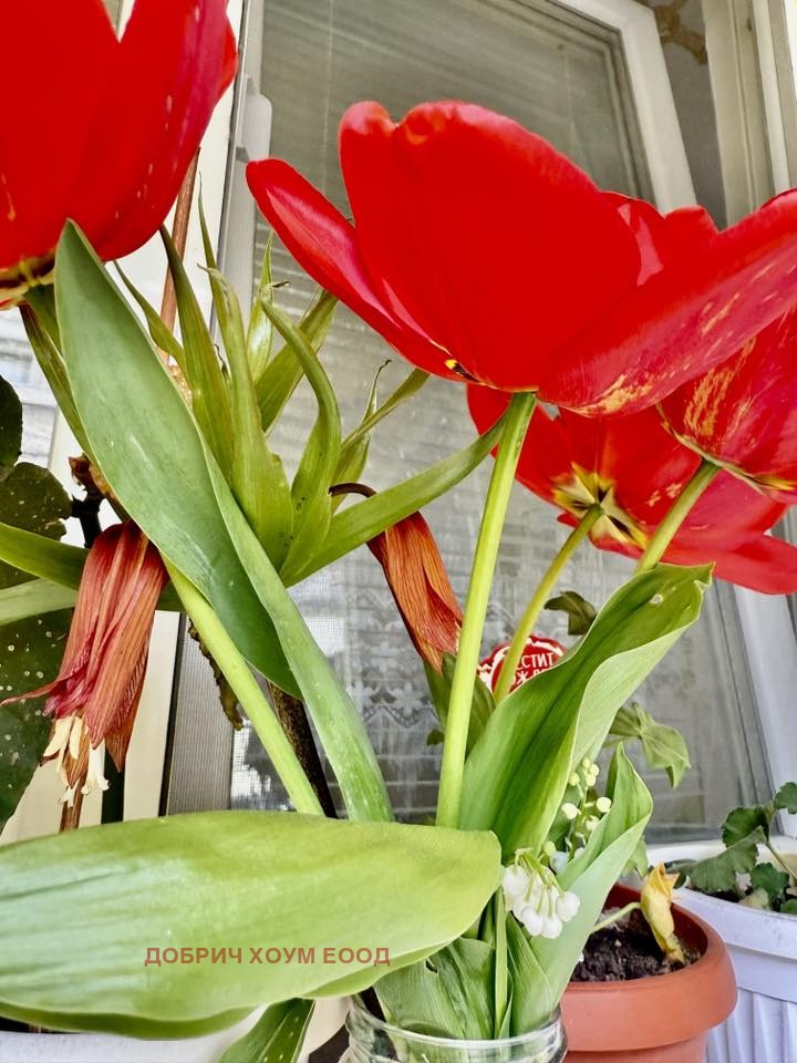 ������� ���� | Imot.bg � ����������� 2