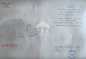 Trama Kalenovci, região Sófia 2