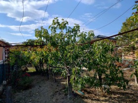 Satılık Komplo