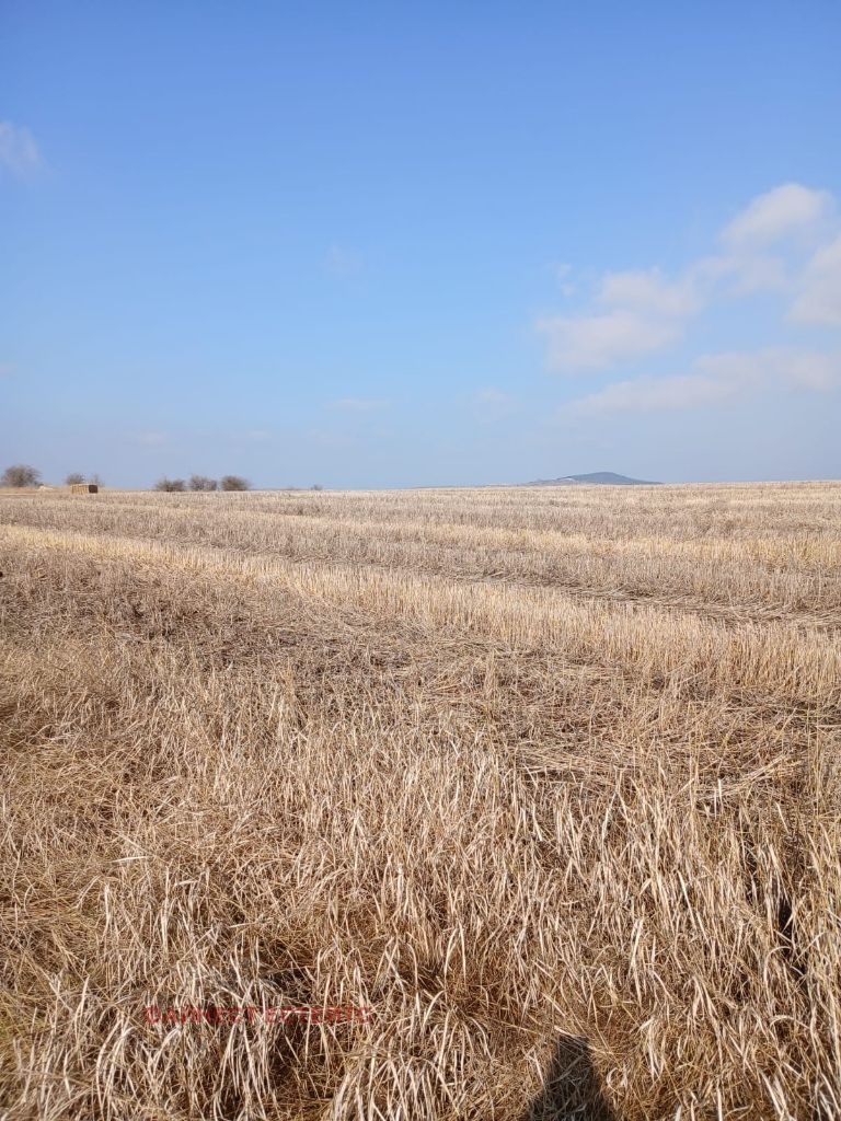 Продава ЗЕМЕДЕЛСКА ЗЕМЯ, с. Алдомировци, област София област, снимка 3 - Земеделска земя - 54268598